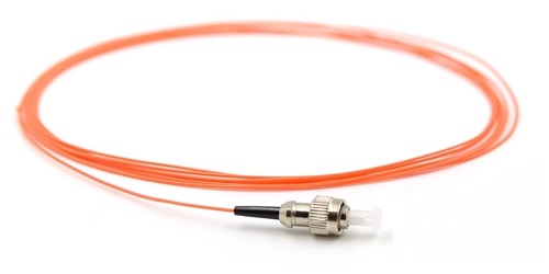 This image has an empty alt attribute; its file name is pigtail-FC-MM1-MM2.jpg