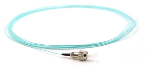 This image has an empty alt attribute; its file name is pigtail-FC-MM3.jpg