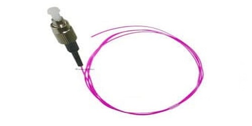 This image has an empty alt attribute; its file name is pigtail-FC-MM4.jpg