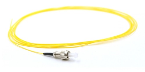 This image has an empty alt attribute; its file name is pigtail-FC-SM.jpg