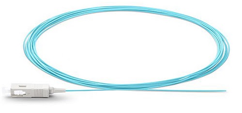 This image has an empty alt attribute; its file name is pigtail-SC-MM3-web.jpg